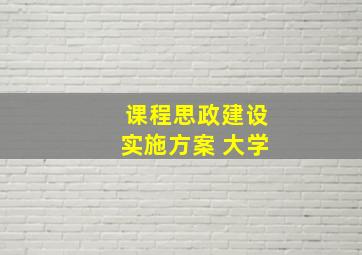 课程思政建设实施方案 大学